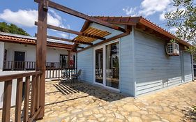 The Olive Hill Guesthouse